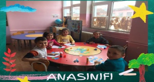 ANASINIFI